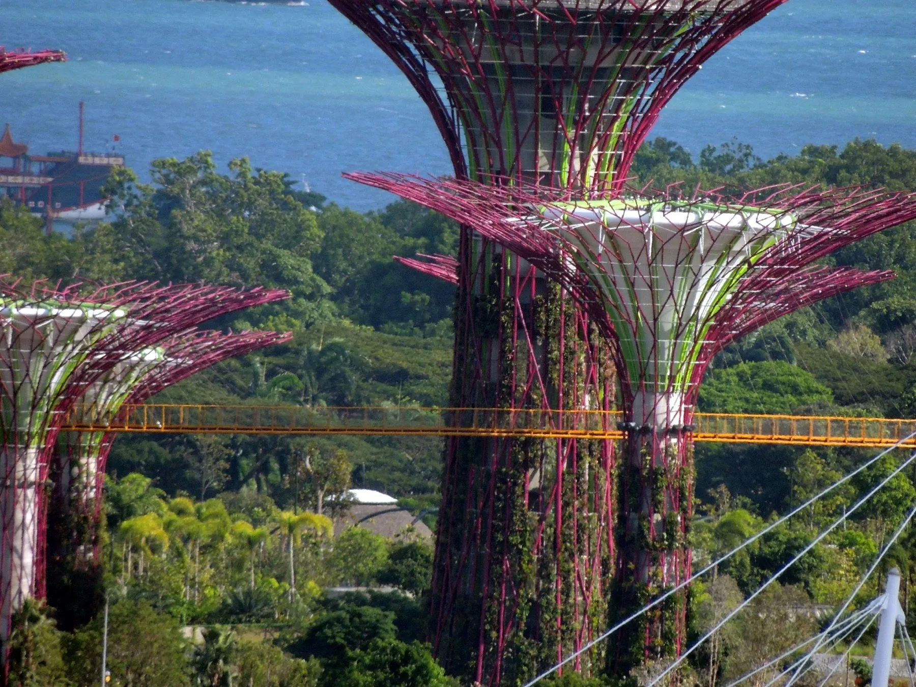 Supertrees at Gardens by the Bay